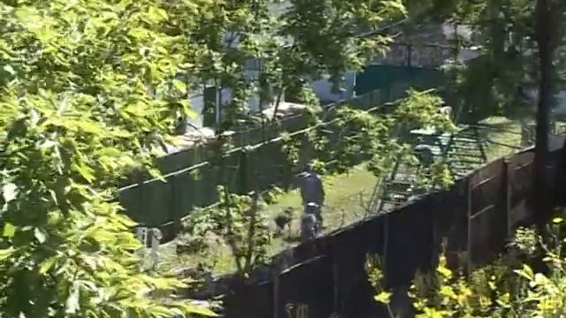 Кинологическая служба "Охранный Холдинг" смотреть онлайн