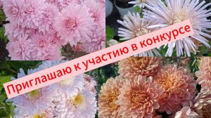 Приглашаю к участию в конкурсе.