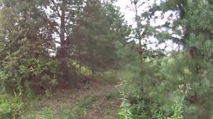 Заброшенная деревня РЕБРОВКА, Пензенская область