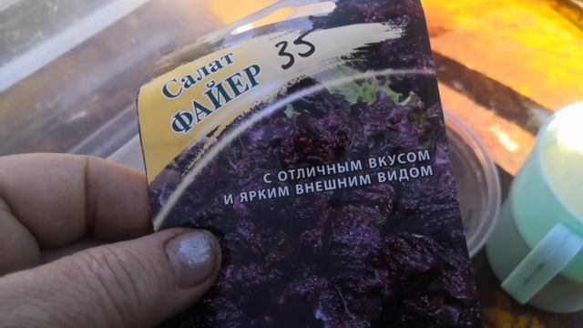 Огород и хитрый гусь 😊 смотреть онлайн