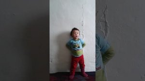 Известная китайская певица