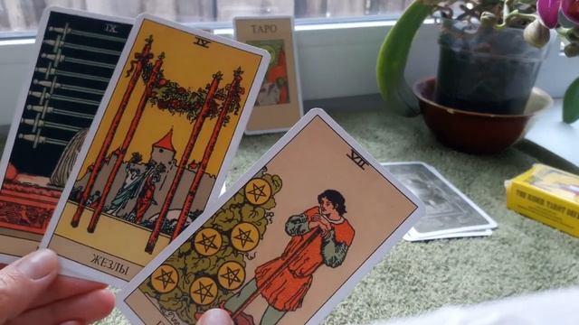 Что нужно знать прямо сейчас? Таро прогноз онлайн. смотреть онлайн