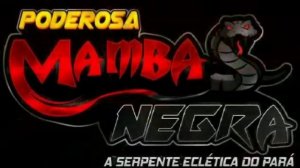 DJ EDUARDO DA NIGHT E MC ANJINHO MA - PODEROSA MAMBA NEGRA ♨️🎶🐍
