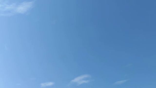 Посадка пікірующих голубів турецька адана смотреть онлайн