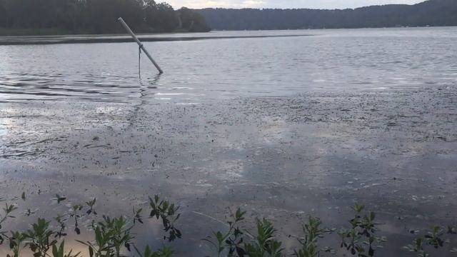 Painting Nature - At Water's Edge смотреть онлайн