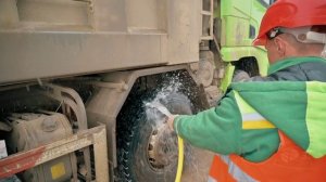 Грунт. Зелёный сад. 15.11.2024