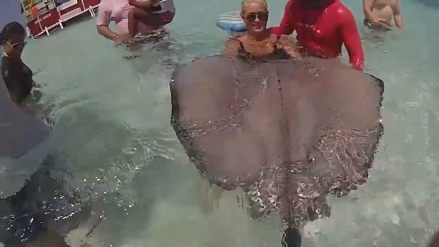 Cayman Island GoPro смотреть онлайн