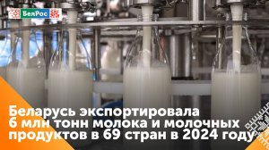 Беларусь в 2024 году экспортировала 6 млн тонн молока