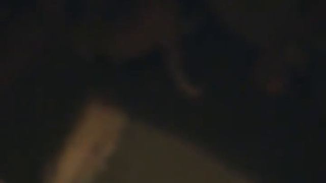 Volusia County's Mandatory Castration of Dogs & Cats смотреть онлайн