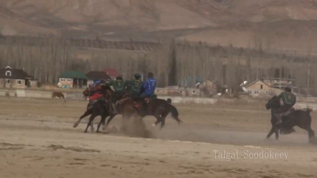 Мыкты салымдын ээлери🔥 Нооруз Раатбек уулу ж.н Орозбек Эркинбеков смотреть онлайн