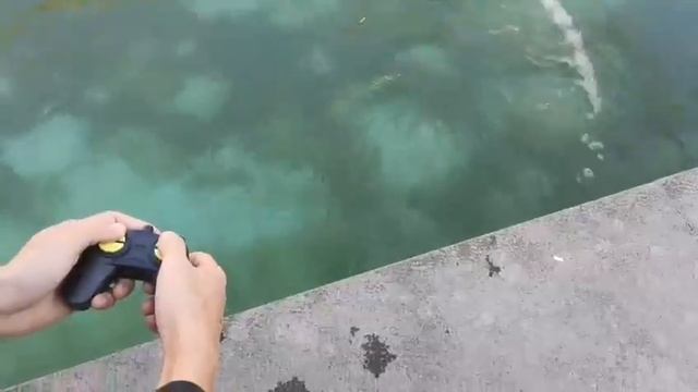 Crocodile Coming!!! 2.4G RC Boat Toys for Amazon 2021