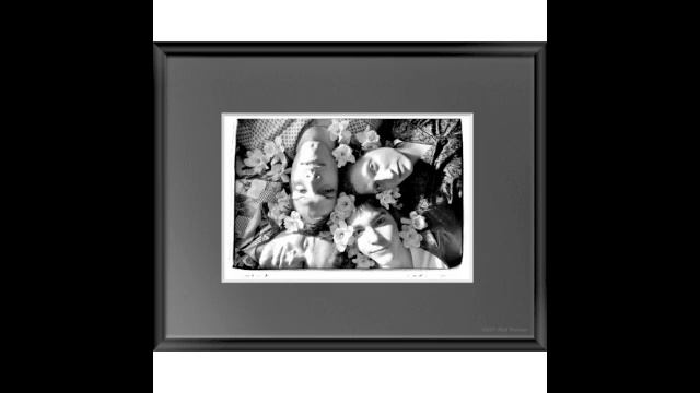 WIDE WAIL - Coyote смотреть онлайн