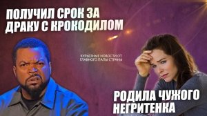 как белая семья родила негритенка?