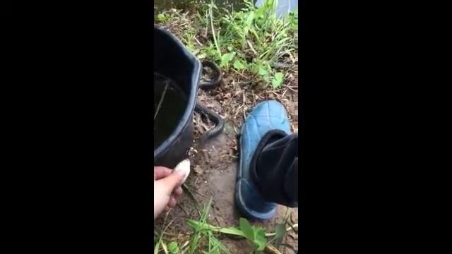 Интересный сборник смотреть онлайн