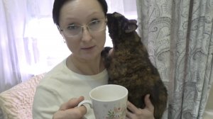 Февраль 2025 года Пикировала землянику... Посеяла острый перец. Домашний йогурт.