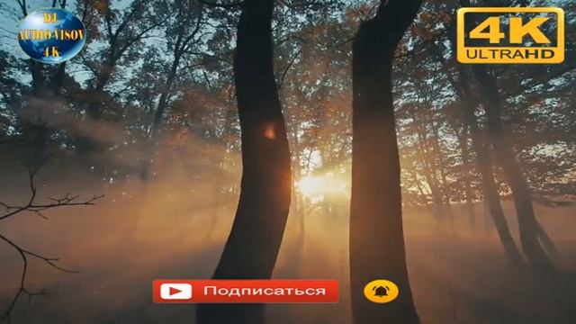 Зафар Нозим   Хоби Сахаргох смотреть онлайн