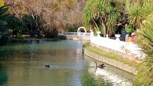 Парк Южные культуры