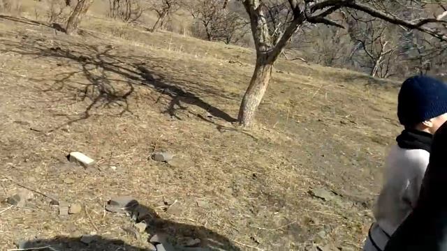 Смерть НОЯНА смотреть онлайн