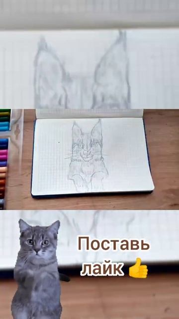 #Рысь смотреть онлайн