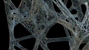 Что если бы пауки были размером с человека?