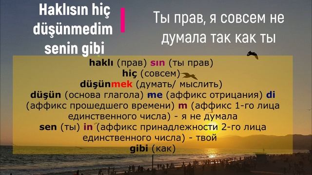 Разбор турецких песен - Ekin Beril (Biraz sussana)
