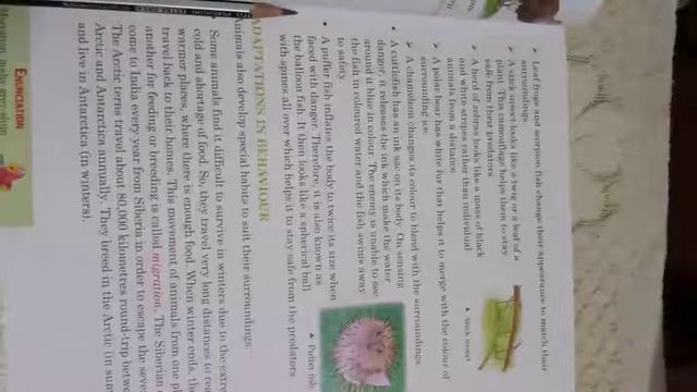 Suraj school date-25july class-4sub: science chapter-3 adaptation in animals part3 смотреть онлайн