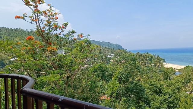 picturesque site At the top of my House||Relaxing view||Morena Morena смотреть онлайн