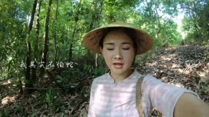 我的第一个vlog！跟着我一起上山采野香菇！【滇西小哥】