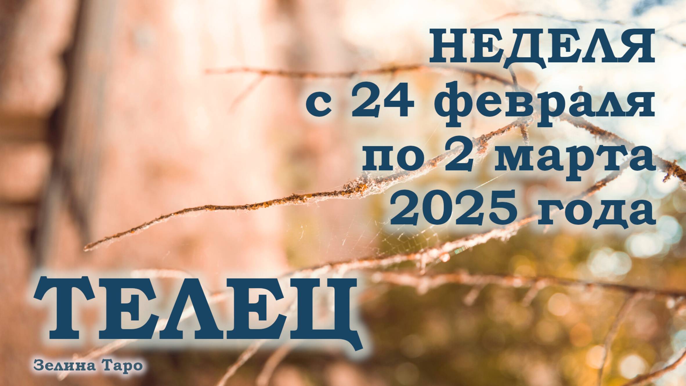 ТЕЛЕЦ | ТАРО прогноз на неделю с 24 февраля по 2 марта 2025 года