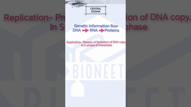 Molecular Basis of Inheritance | Central Dogma