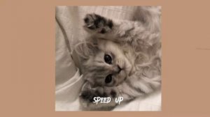 bahroma - пока-пора (speed up)