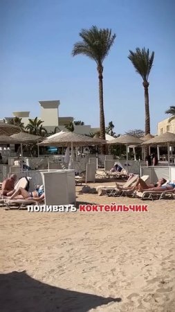 Что с погодой в Египте в феврале?