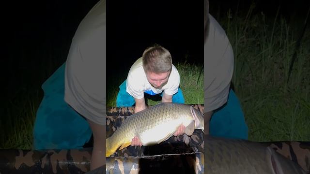 Огромный Карп клюнул ночью 🐗💥💪 смотреть онлайн