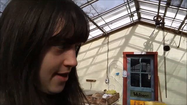 How to Prep a Greenhouse for Over Break  Big Updates