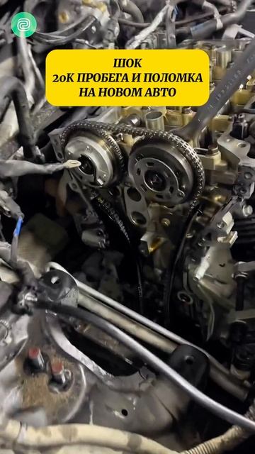 А говорили КОРЕЙЦЫ НАДЕЖНЫЕ

#приколы #автоприколы #автоюмор #автосервис #автоподбор #подборавто