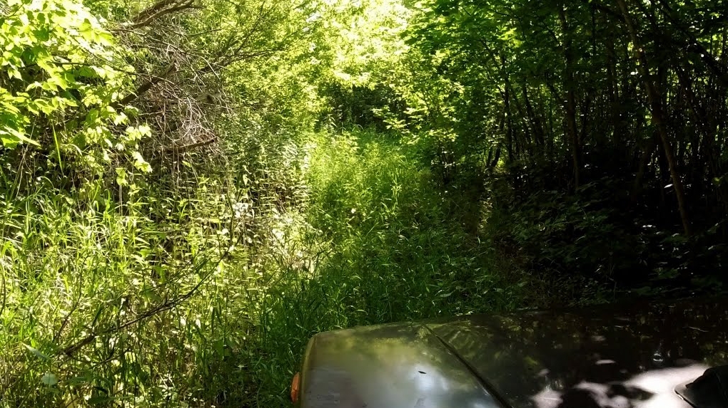 Там нет Дорог зато есть Рыба... смотреть онлайн