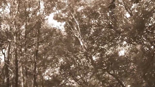 YouTube Effect Filters 9: Sepia смотреть онлайн