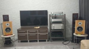 DIY bookshelf speakers Peerless HDS + MOREL CAT308 - test #3