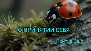 О принятии себя Притча Ошо