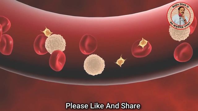 रोज सुबह पपीते के पत्तों का रस पीलें, जड़ से खत्म हो जायेंगे ये भयंकर रोग смотреть онлайн