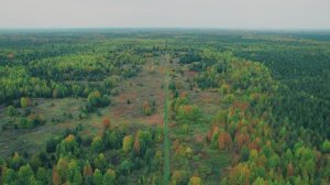 Заброшенный посёлок Коин, времён системы УстьВымьЛАГ ИТЛ-1 ( ГУЛАГ ). Сентябрь 2024.