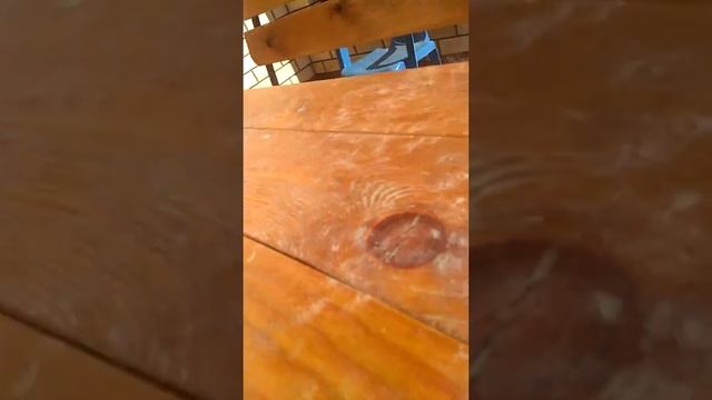 Невероятные приключения собаки смотреть онлайн