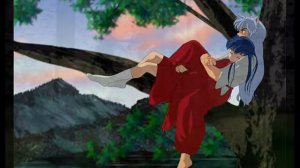 have you read about inuyasha's after life?