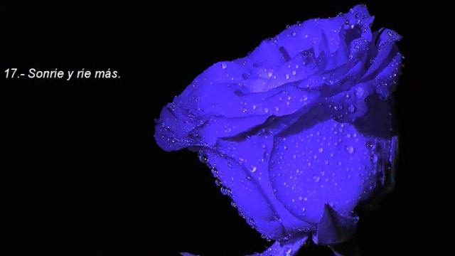 Estoy viva/I'm alive-Celine Dion"40 Consejos Para Una Vida Mejor"[ Relajate, Escucha y Admira ] смотреть онлайн