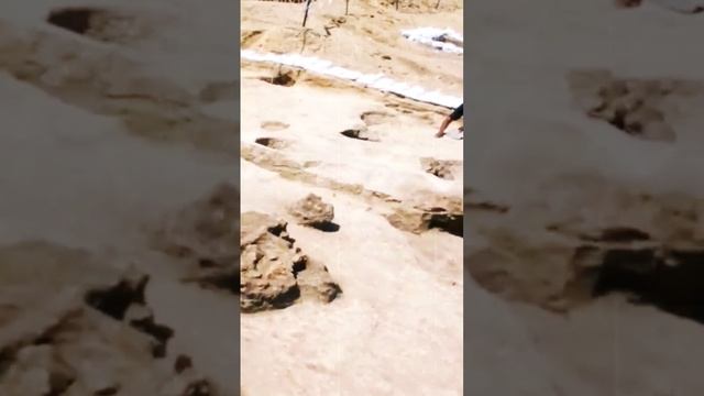 Самая пугающая находка всех времен. #находка #новости смотреть онлайн