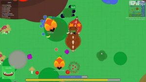 All Roams.io Rare Animals Tier List.