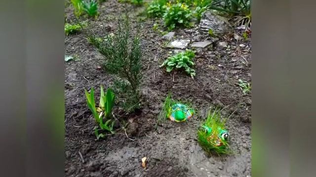 ВОРОНА И НОВЫЕ ЖИТЕЛИ ОГОРОДА смотреть онлайн