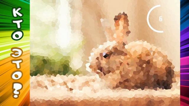 Тест на Внимание и Наблюдательность. (Большинство не пройдут без ошибок) смотреть онлайн