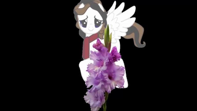 25 фактов о моем каноне!!! смотреть онлайн