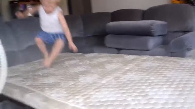 Jumping like a chinchilla.MP4